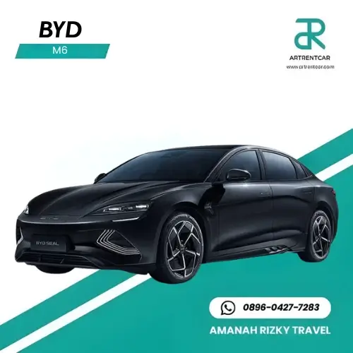 BYD M6